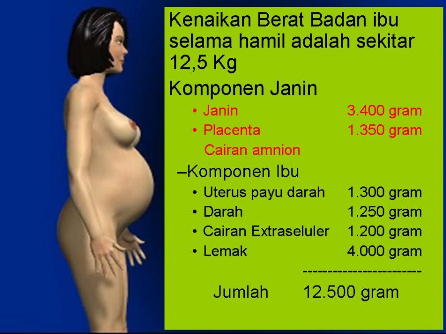 baju ibu hamil