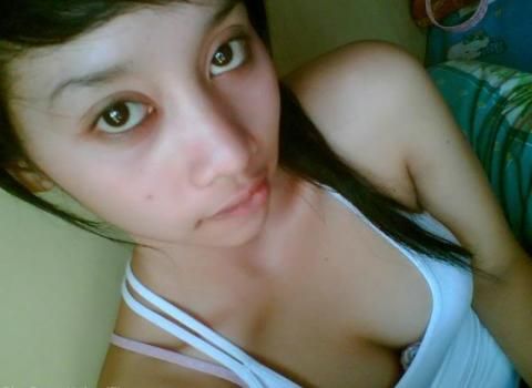 gambar tocil