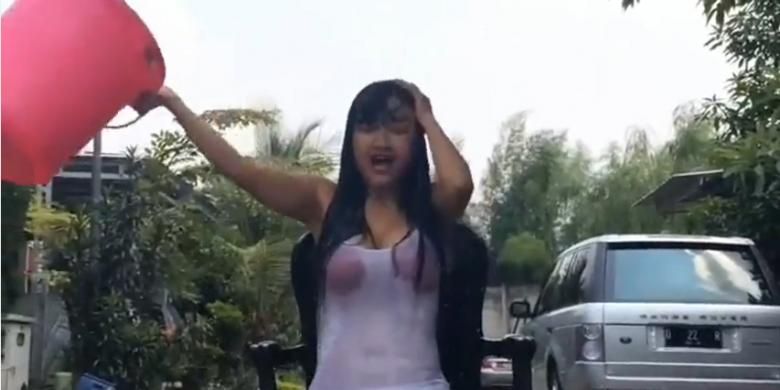 gambar susu montok