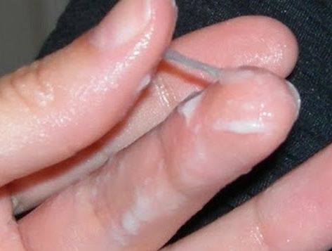 jenis vagina