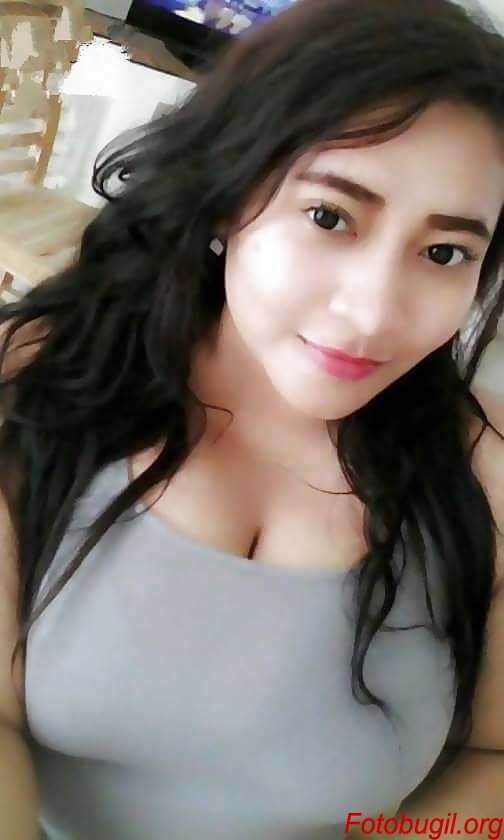 bajak laut lucu
