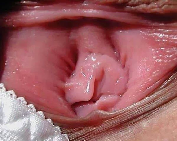 gambar memek maria ozawa