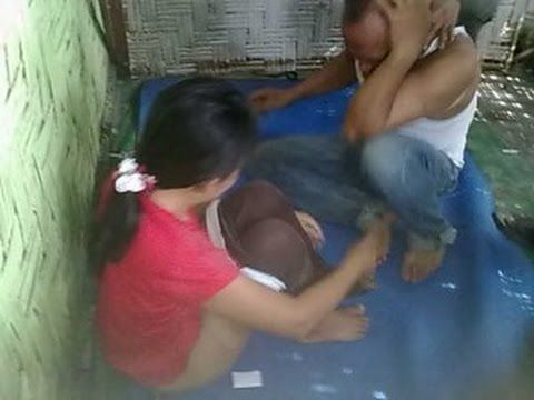 abg ngentot