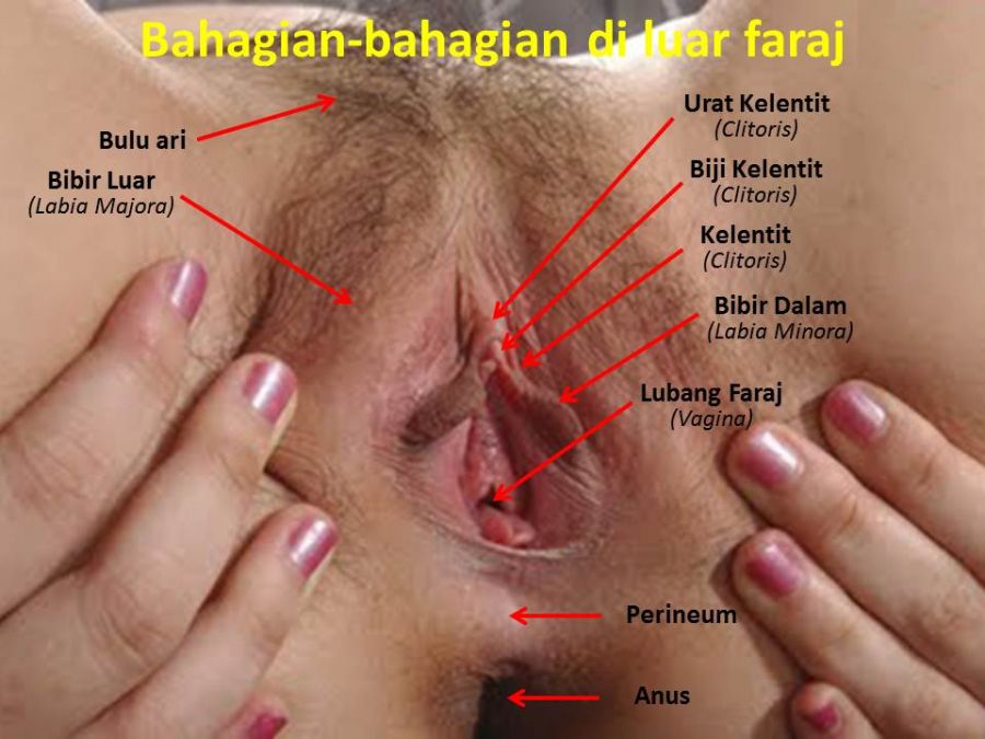 manfaat air tebu