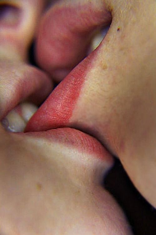 close up cock
