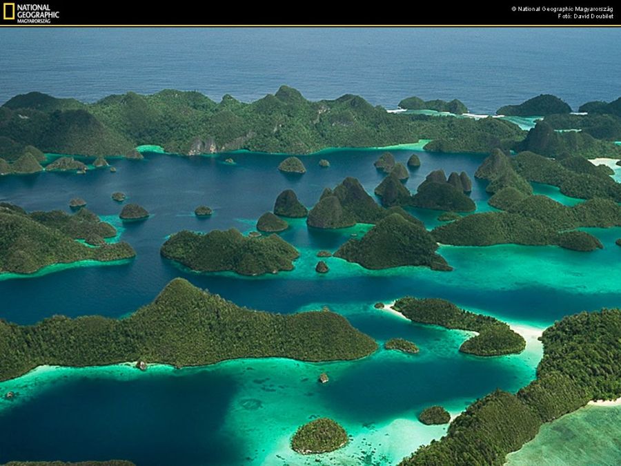 orang papua barat