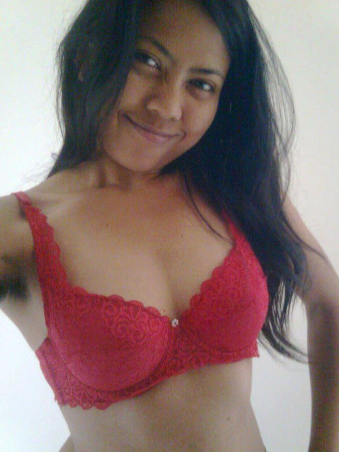 gambar susu