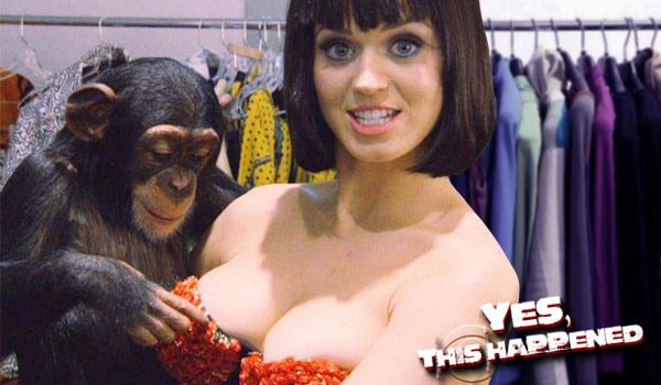 best celebrity boobs