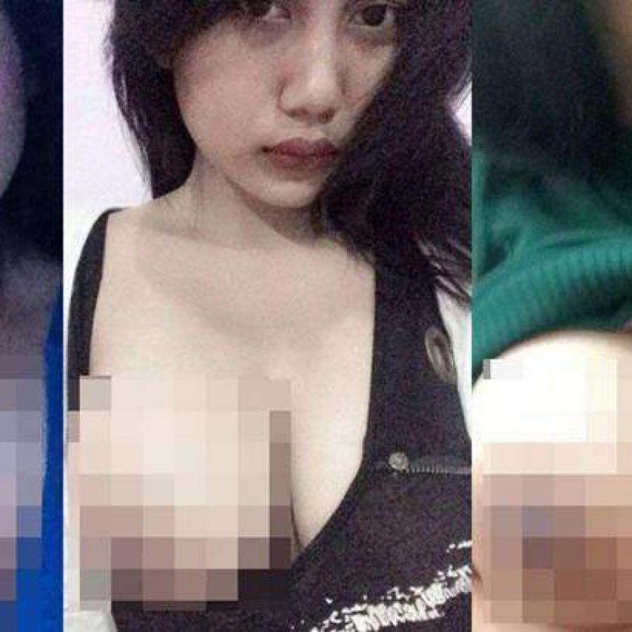 pamela duo serigala puting