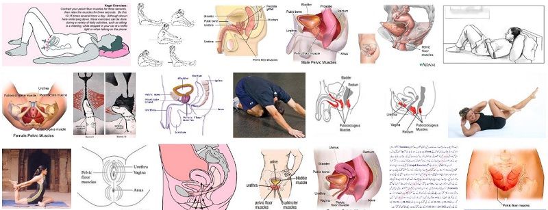 cara senam kegel pria bagi