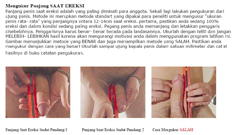 cara alami memperbesar alat vital