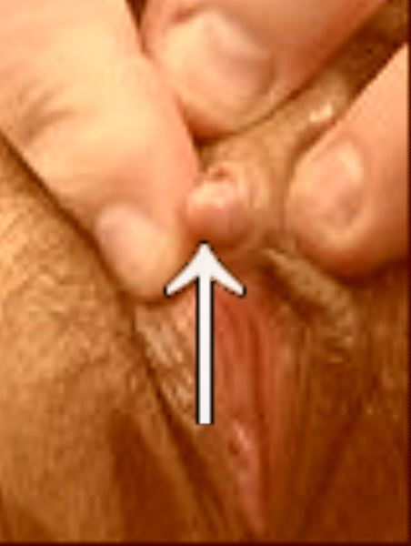 wanita gemuk bugil