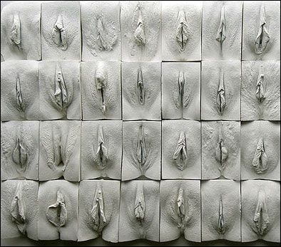 bentuk vagina perawan