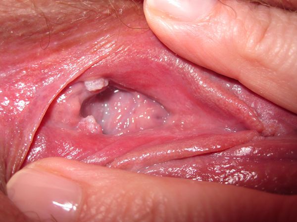 japanese vagina festival