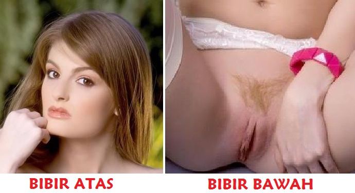 bentuk asas