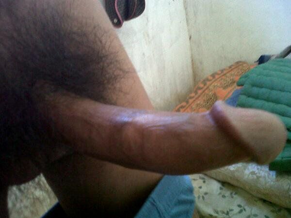 kontol artis barat