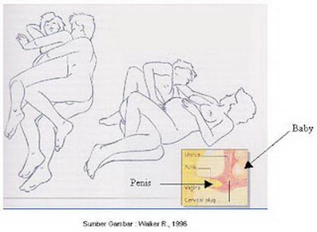 seksual berita