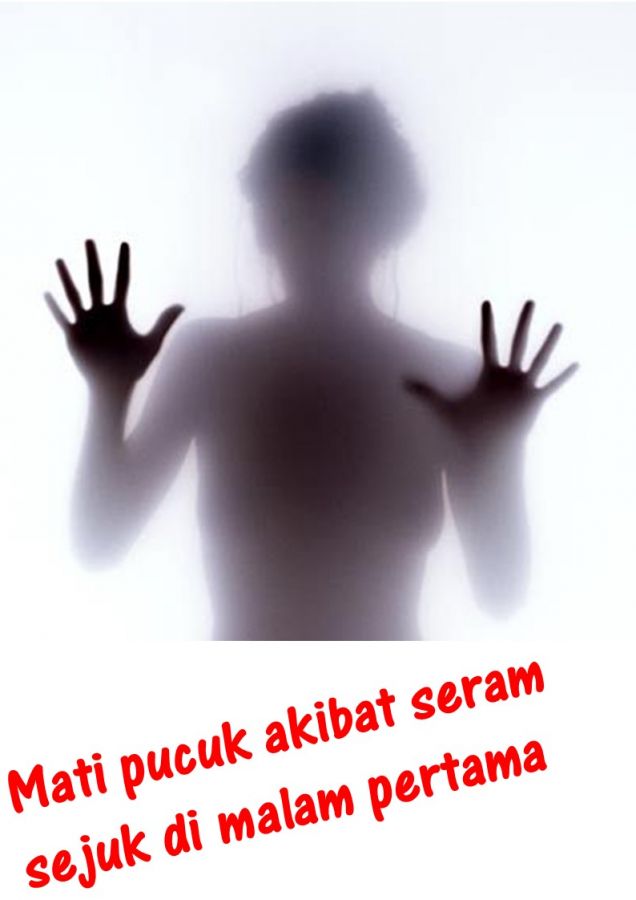 rahsia malam pertama