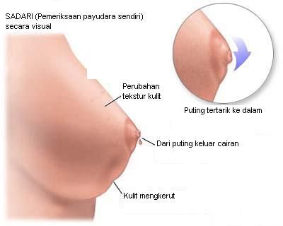 gambar payudara indah