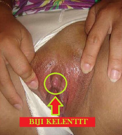cewek kelentit