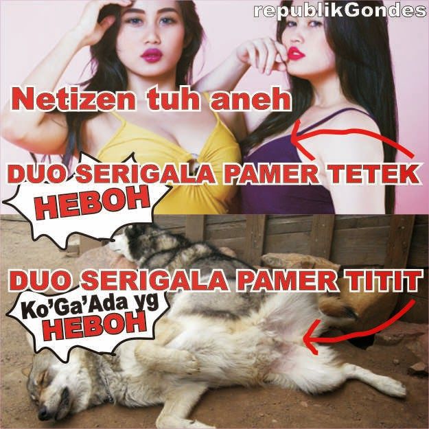 duo srigala melorot
