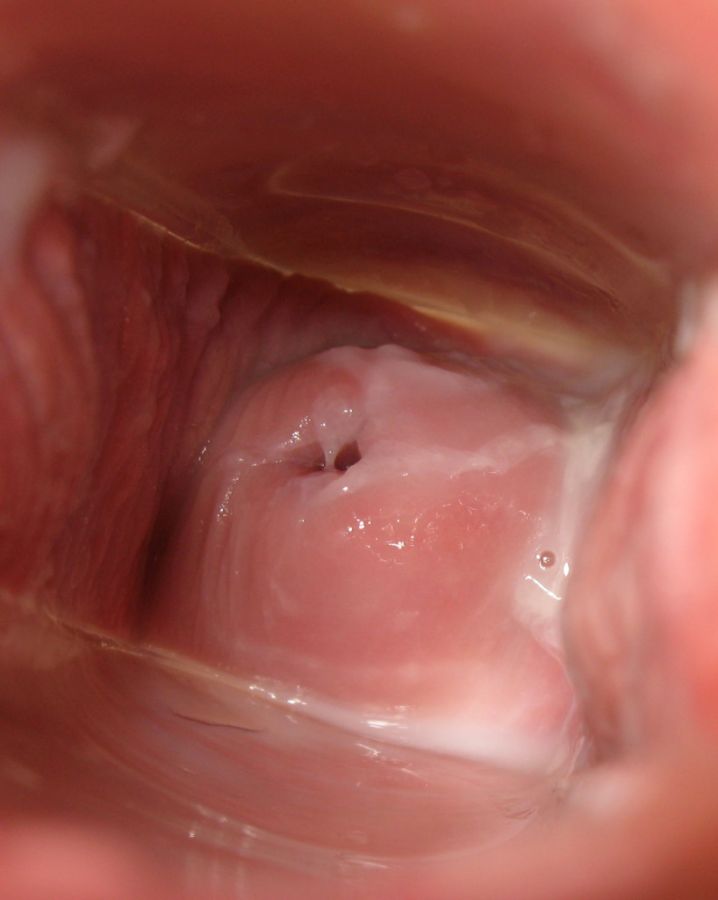 sex from inside the vagina