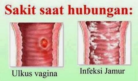 penis penetrating vagina