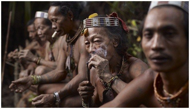 suku dayak bahau