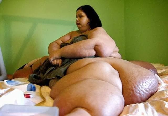 vagina wanita gemuk