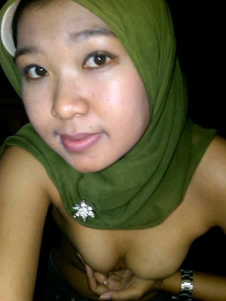 gambar paruh burung
