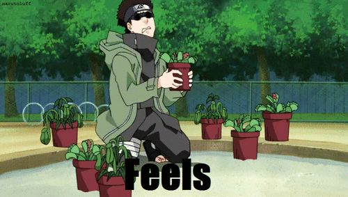 shino x kiba