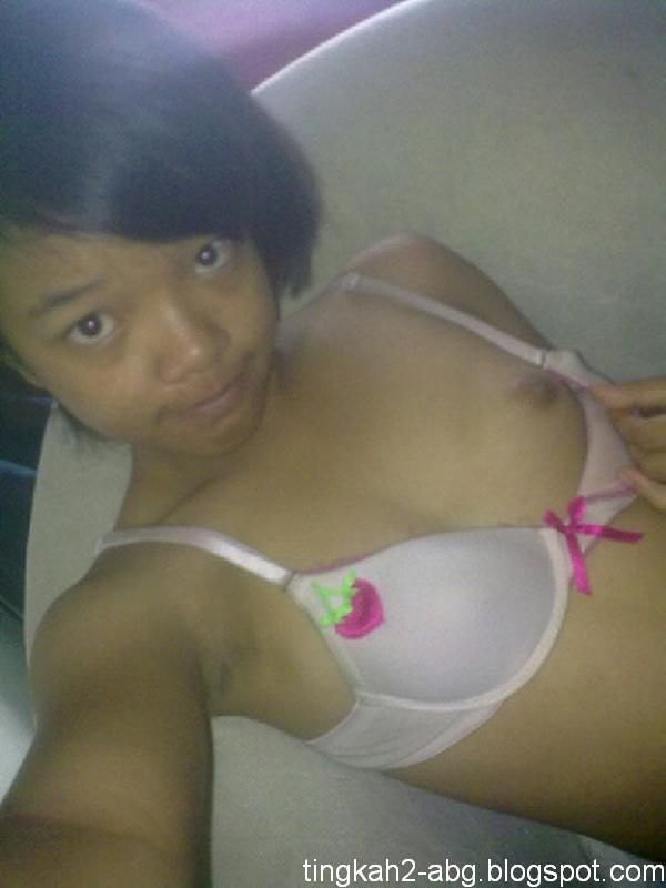 smp tocil