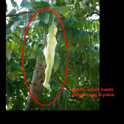 wanita tanpa busana
