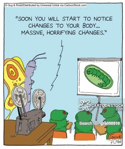 cfnm sex ed class