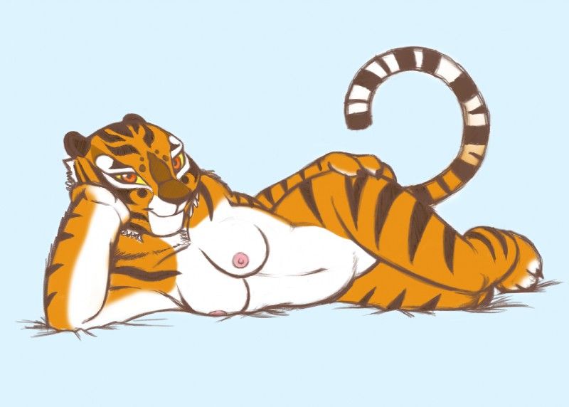 kung fu panda po and tigress