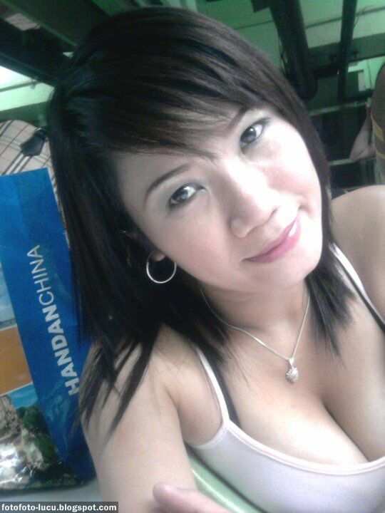 transparan artis