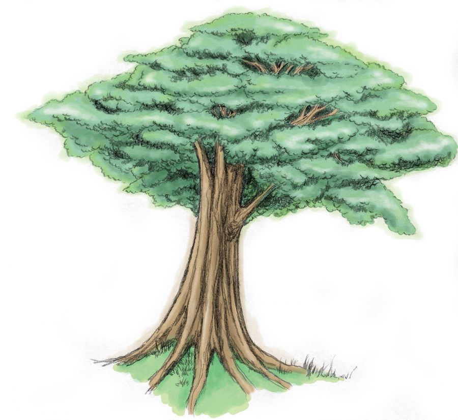gambar lelaki telanjang