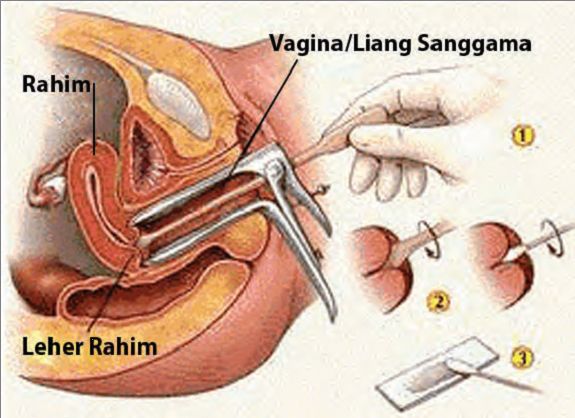 virgin vagina yang