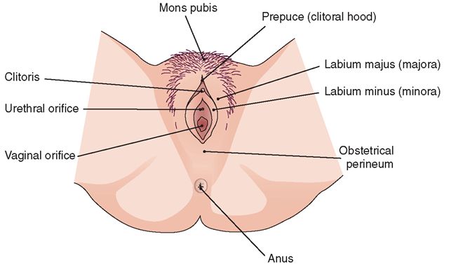 a spot location for women