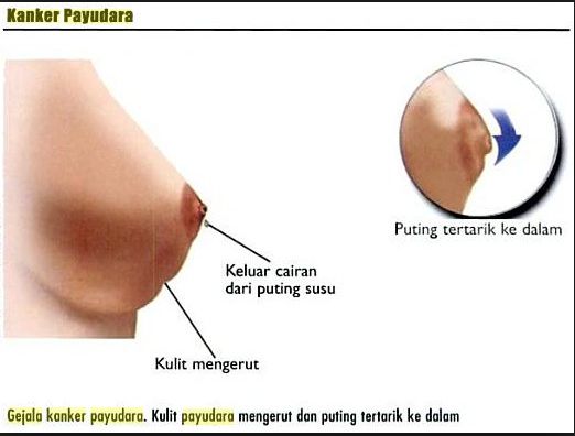 bercinta dengan wanita hamil