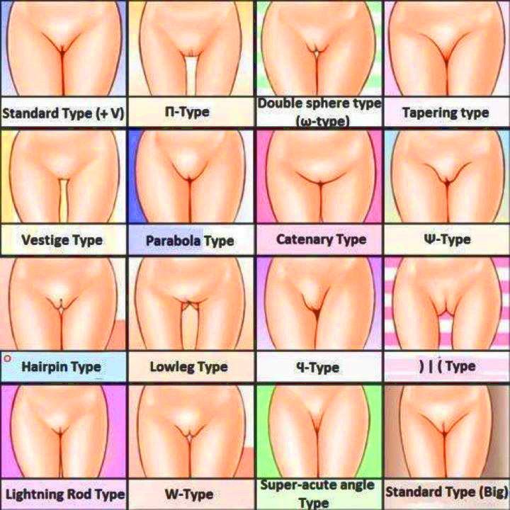 wanita gemuk cantik