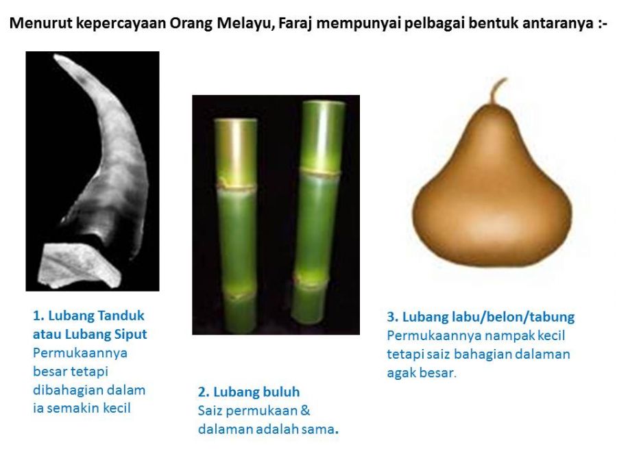 vagina orang hamil