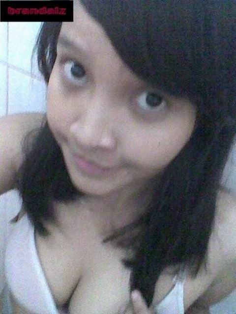 pin bb bispak