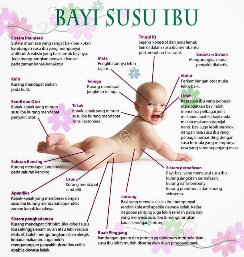 cewek gendut