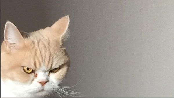 bangun tidur