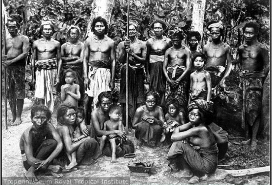 suku bugis indonesia