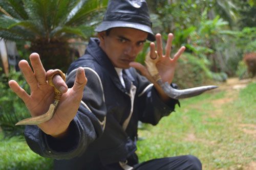 suku suku dayak vs bugis