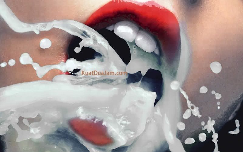 gambar proses pencernaan makanan