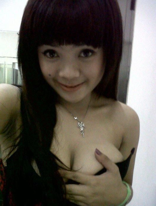 gambar monyet