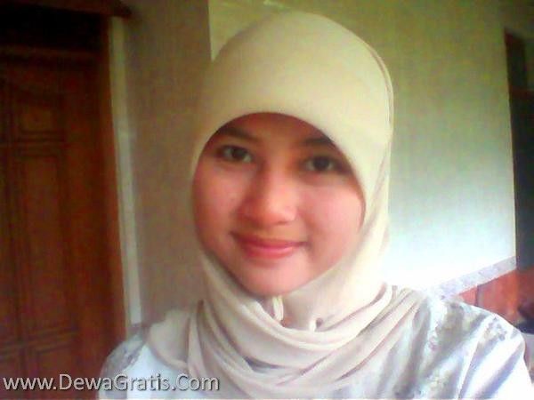 gambar ayam
